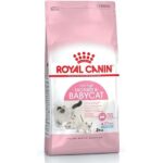 Royal Canin Mother & Baby