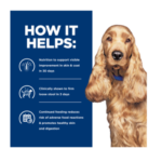 Hill's Prescription Diet Dog Z/D Food Sensitivities 10kg - Image 3