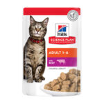 Hill's Science Plan Cat Beef in Gravy